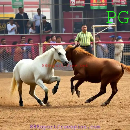Rinha de galos